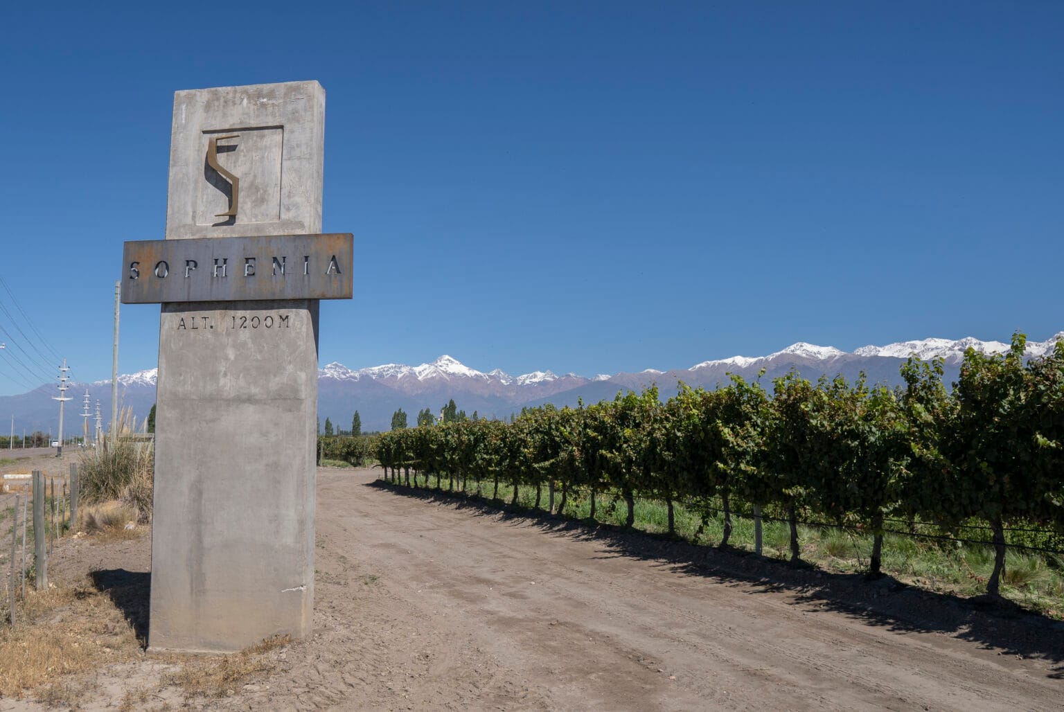 Copia de Sophenia -268