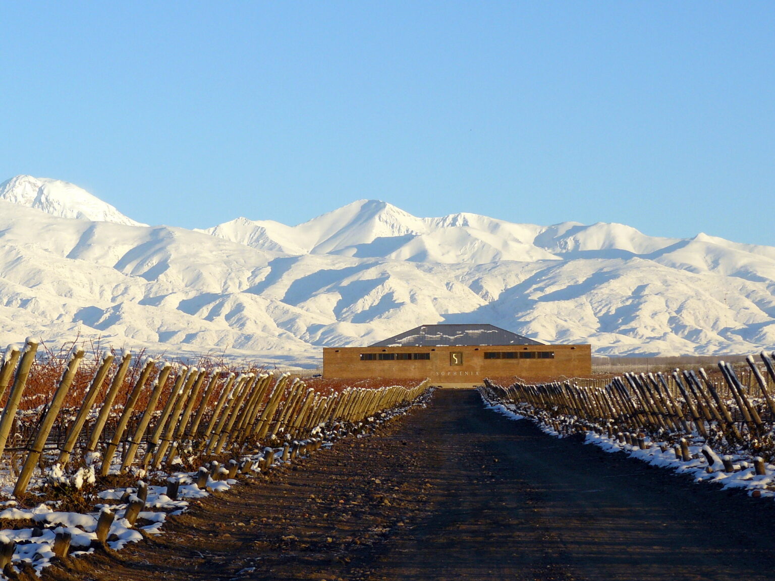 PORTADA SECCION VISION 2